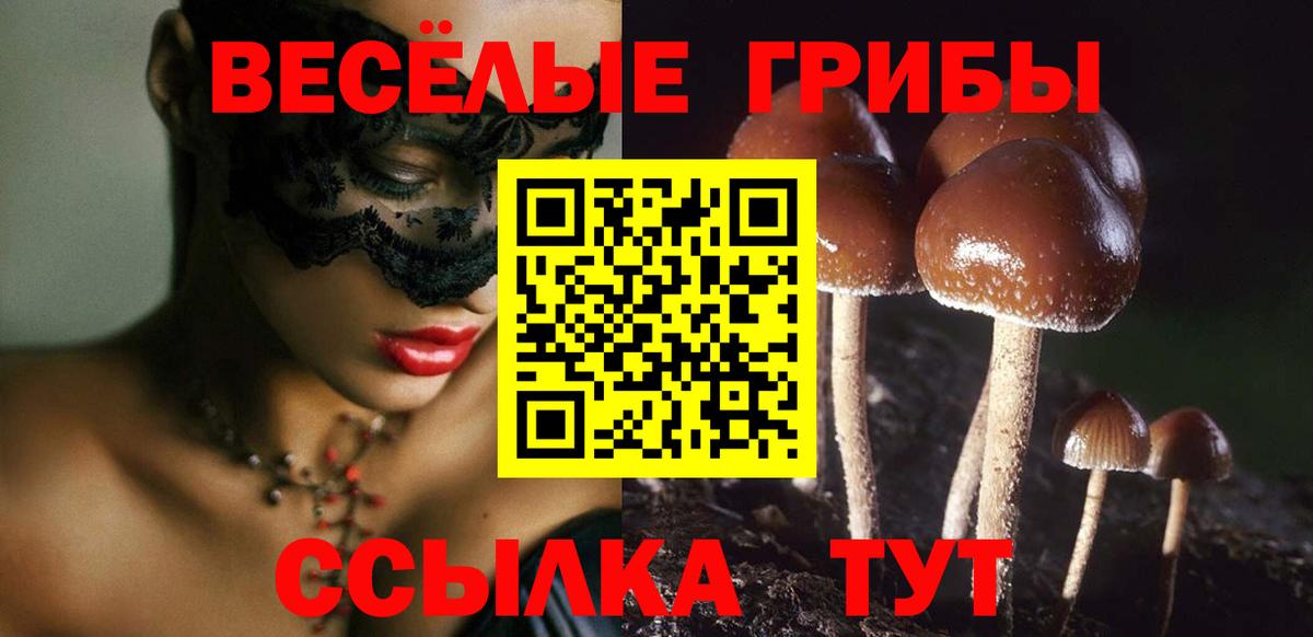 Псилоцибиновые грибы прущие грибы Семёнов
